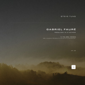 Listen to IV. Pie Jesu. Adagio (Arr. Kamioka for Solo Flute with Flute Quintet) song with lyrics from Gabriel Fauré