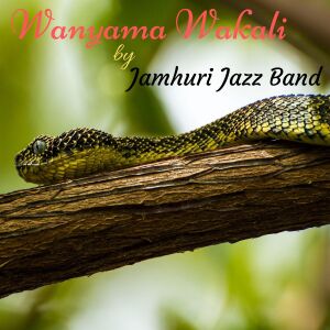 收听Jamhuri Jazz Band的Nafisa歌词歌曲