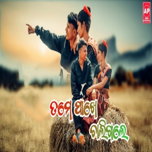 Listen to Tame Pakhe Chali Gale song with lyrics from Mahesh