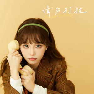 Album 请勿打扰 from 汪六六