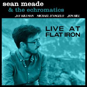 收聽Sean Meade的Within Water (feat. Jay Killman, Michael D'Angelo & Jon Hill) (Live at Flat Iron)歌詞歌曲