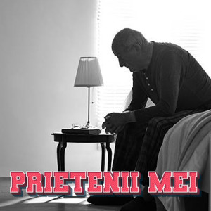 Album PRIETENII MEI from Paul Fantezie