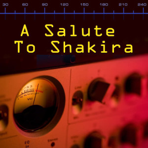 收聽Future Hit Makers的Underneath Your Clothes (Made Famous by Shakira)歌詞歌曲