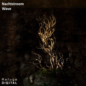 ดาวน์โหลดและฟังเพลง Wave พร้อมเนื้อเพลงจาก Nachtstroom