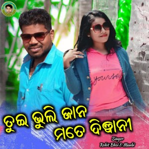 Listen to Tui Bhuli Jana Mate Dewani song with lyrics from Rohit Bhoi