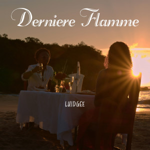 Listen to Dernière Flamme (Explicit) song with lyrics from Luidgee