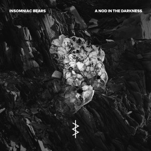 收聽Insomniac Bears的A nod in the darkness歌詞歌曲