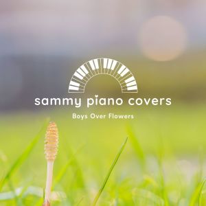 Listen to Boys Over Flowers Main Theme (Piano Cover) song with lyrics from Group Star