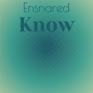 Album Ensnared Know oleh Various Artists