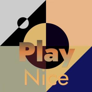Various Artists的專輯Play Nice