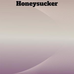收听Otilie Quen的News Something歌词歌曲