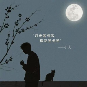 Listen to 月光荡阿荡，梅花晃啊晃 (伴奏) song with lyrics from 小久