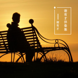Listen to 情逢对手 (语言版) song with lyrics from 谢有才