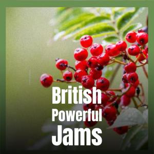 Listen to Christmas During song with lyrics from Maryy Vael