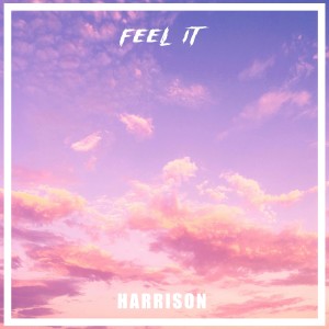 Album Feel It from Harrison