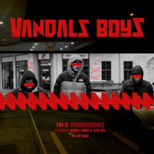 Listen to Vandalz Boyz (Explicit) song with lyrics from Broken Bone