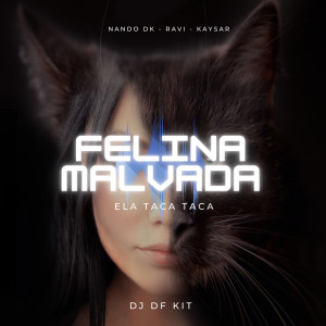 อัลบัม Felina Malvada (Ela Taca Taca) (Explicit) ศิลปิน Mc Nando Dk