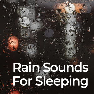 อัลบัม Rain Sounds for Sleeping ศิลปิน Rain for Deeper Sleep