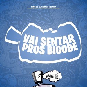 Dengarkan lagu Vai Senta Pros Bigode (Explicit) nyanyian PROD VK dengan lirik