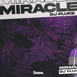 Dengarkan lagu Miracle nyanyian DJ Fluke dengan lirik