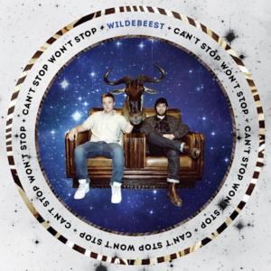 收聽Can't Stop Won't Stop的Scrape the Sky (feat. Fresh Big Mouf)歌詞歌曲