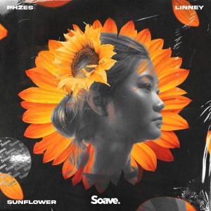 Album Sunflower oleh Linney