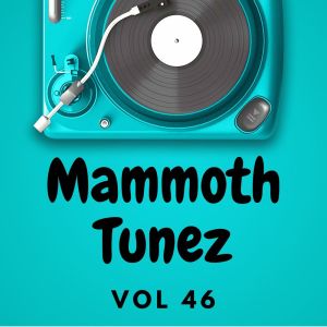 Mammoth Tunez Vol 46 dari Various Artists