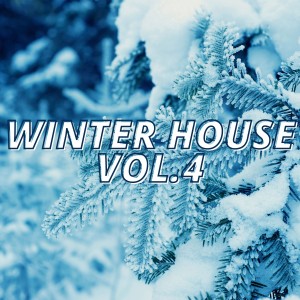 Album Winter House Vol.4 oleh Various