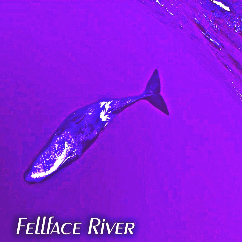 Fellface River