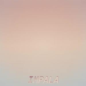 收听Tore Waer的Front He歌词歌曲