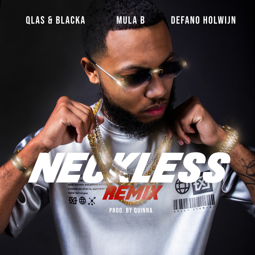 Neckless(feat. Defano Holwijn) (Remix)