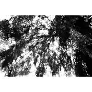 收聽Valkiria的i see you歌詞歌曲