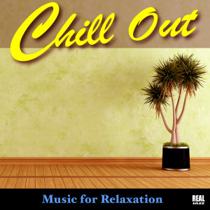 Chill Out的專輯Chill Out