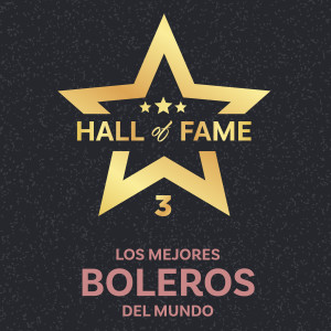 群星的专辑Serie The Hall Of Fame: Los Mejores Boleros del Mundo, Vol. 3