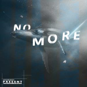 Listen to No More (Radio Edit) song with lyrics from GROOMING94