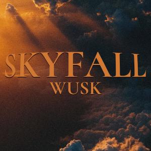 ดาวน์โหลดและฟังเพลง Skyfall (其他) พร้อมเนื้อเพลงจาก Wusk
