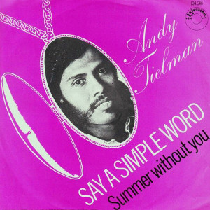 Album Summer Without You from Andy Tielman