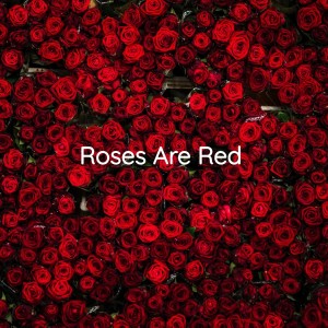 收听Bobby Vinton的Roses Are Red歌词歌曲