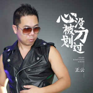 Listen to 心没被刀划过 song with lyrics from 正云