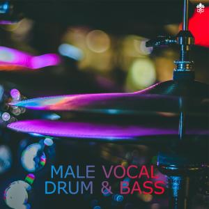 Various Artists的专辑Male Vocal Drum & Bass