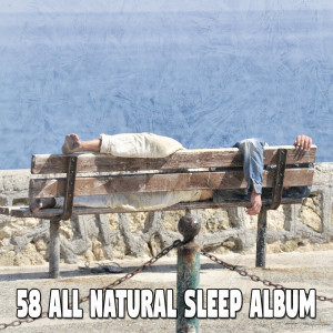 Dengarkan lagu Advancing Sleep nyanyian Nature Sounds Nature Music dengan lirik
