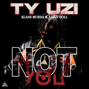 Album Not You (Explicit) from Ty Uzi