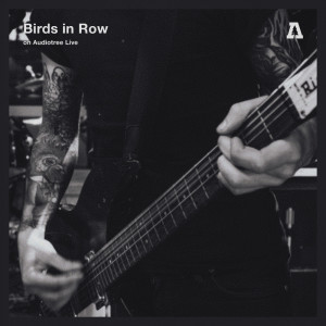 Listen to 15-38 (Audiotree Live Version) song with lyrics from Birds In Row