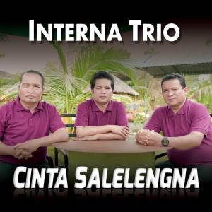 Album Cinta Salelengna oleh Interna Trio
