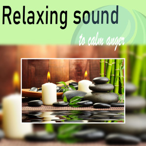 收听Relaxing Strings的Perfect Sound歌词歌曲