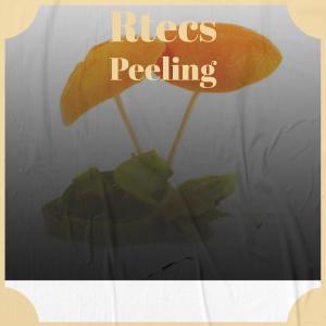 Listen to Rtecs Peeling song with lyrics from Ides
