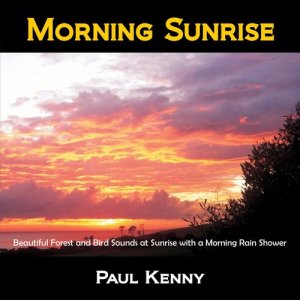 收聽Paul Kenny的Morning Sunrise歌詞歌曲