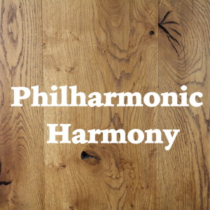收聽Russian Land Symphony Orchestra的Concerto for Violin and Orchestra No. 8: I歌詞歌曲