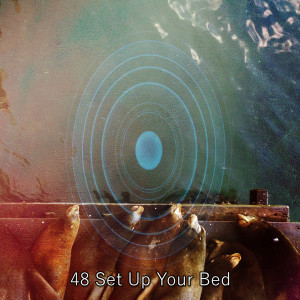 48 Set Up Your Bed