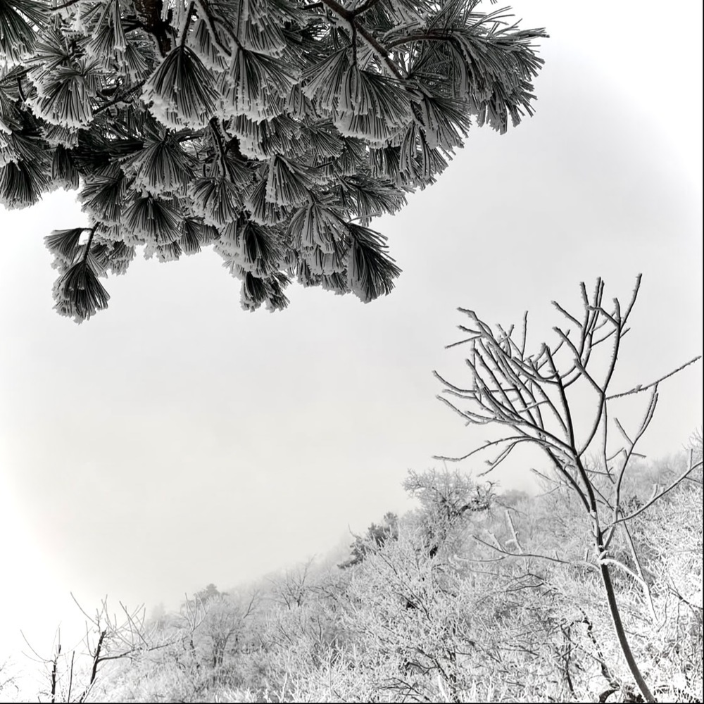hãy cho con chịu đau khổ thay em (Winter Version)